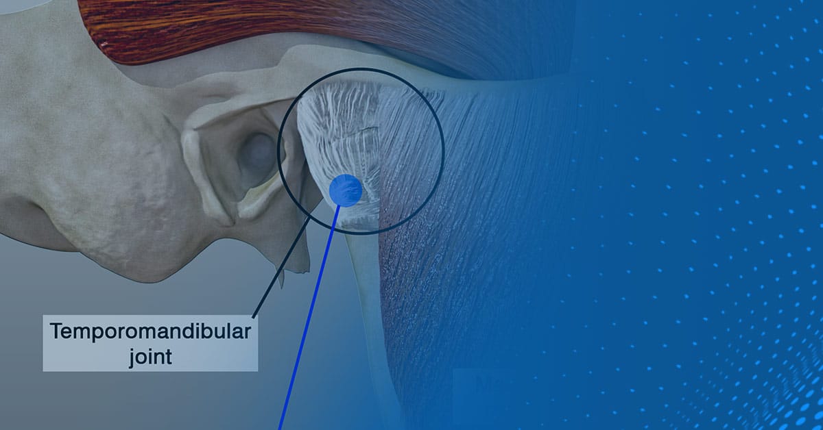 temporomandibular joint (TMJ)